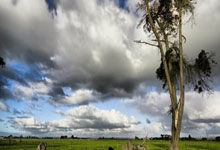 韩国为掩真相，竟然凿去刻有“臣谨守东藩……”等历史文字！.