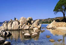 MK体育：富勒姆发挥稳定红魔或遇考验 热刺力争英超再送狐狸一败.